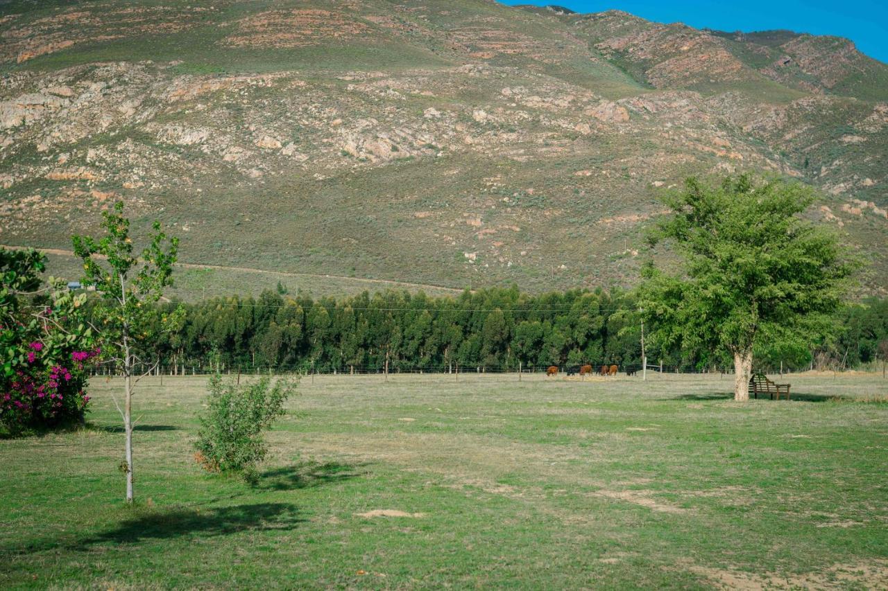 Le Reve Boutique Hotel Tulbagh Exterior photo